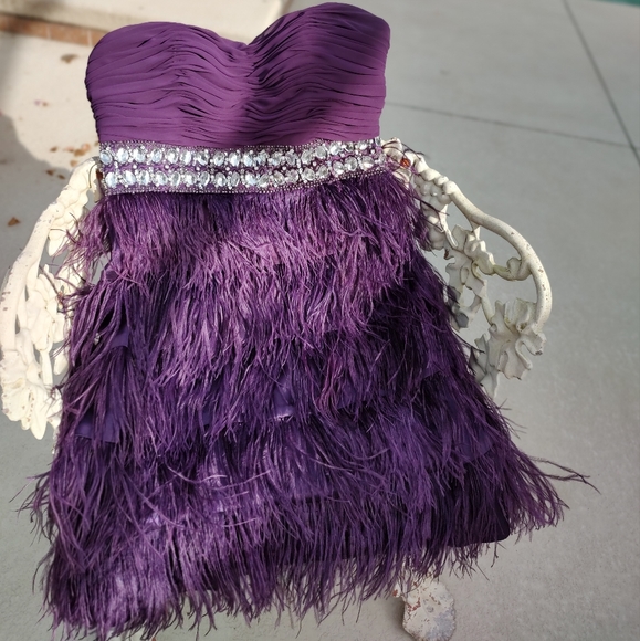 bee darlin Dresses & Skirts - Beautiful feather and Rhinestone Dress